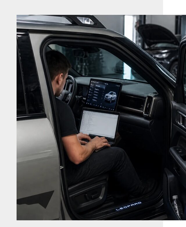 Русификация BYD Leopard 3 в Геленджике по цене от 20684 р. | ФастМобиль-Глн